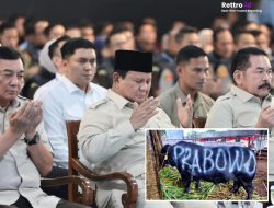 Sapi dari Presiden, Bayarnya Pakai APBN, Program Kurban Rp100 M Tuai Sindiran