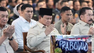 Sapi dari Presiden, Bayarnya Pakai APBN, Program Kurban Rp100 M Tuai Sindiran