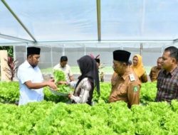 Bupati Fauzi Dorong Revolusi Pertanian, Hidroponik Jadi Senjata Baru Ketahanan Pangan Sumenep