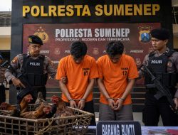 Gara-Gara Curi Lima Ekor Ayam, Dua Pria di Sumenep Terancam Denda Rp 500 Juta Atau Kurungan Penjara 7 Tahun