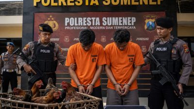 Gara-Gara Curi Lima Ekor Ayam, Dua Pria di Sumenep Terancam Denda Rp 500 Juta Atau Kurungan Penjara 7 Tahun